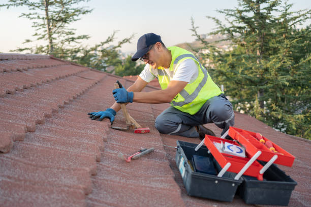 Roof Gutter Cleaning in Carpendale, WV