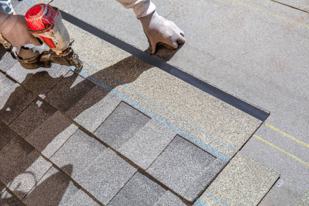 Best Residential Roofing Contractor  in Carpendale, WV