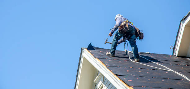 Best Storm Damage Roof Repair  in Carpendale, WV